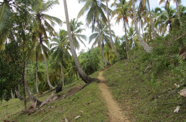 Waterfall El Limon pathway